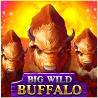 game logo by Belatra Games on nine-wincasino.uk